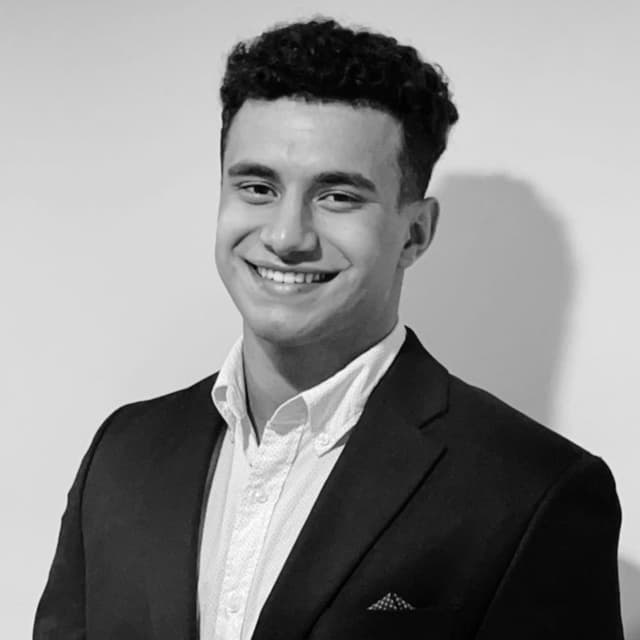 Amir Mahmoud's portrait